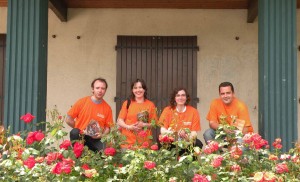 Campagne à Saint Vincent